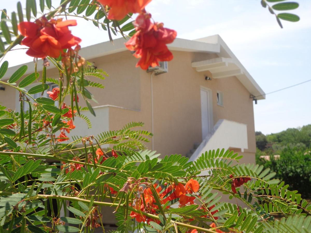 Apartments Pepdjonovic Ulcinj Exterior photo